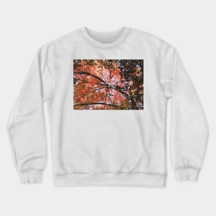 Autumn Branches Crewneck Sweatshirt